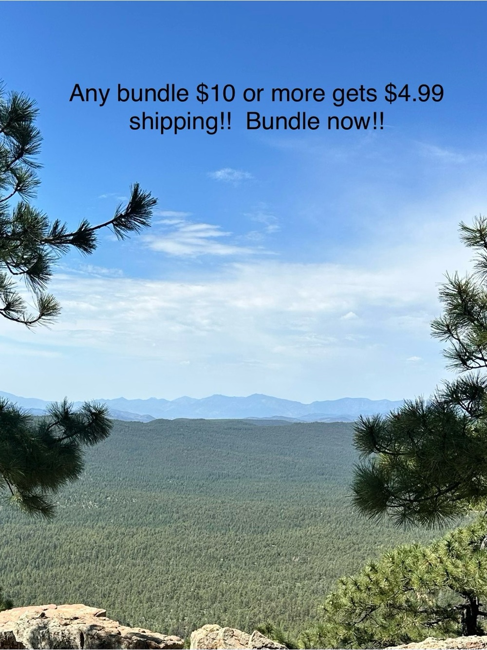 Bundle $10+ and get $4.99 shipping!!